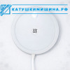 Катушка Мишина №1 (диск Мишина)
